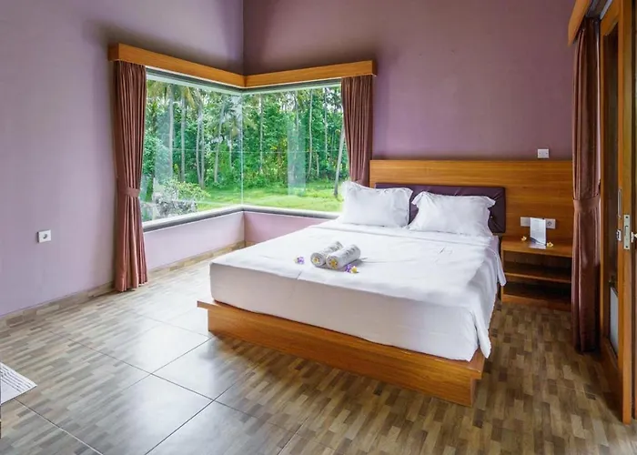 Ariana Bali *